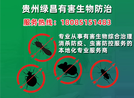 绿昌毕节线上分站